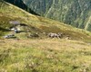 Malga Stavello, panorama dall'alto