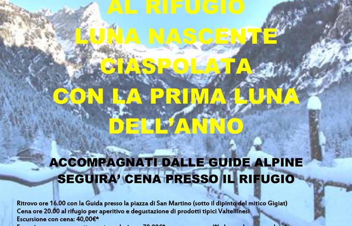 Allegato #1
