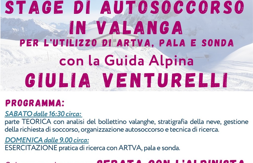 Allegato #5