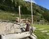 fontana: lavorazione di un pezzo unico