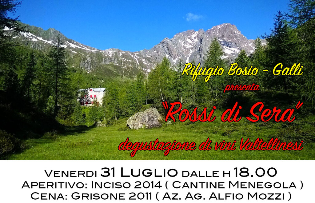 Allegato #1