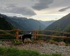 sguardo a valle sguardo a valle
