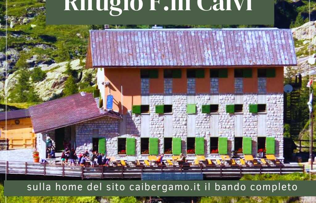 Immagine WhatsApp 2025-08-21 ore 09.27.53_9845269f