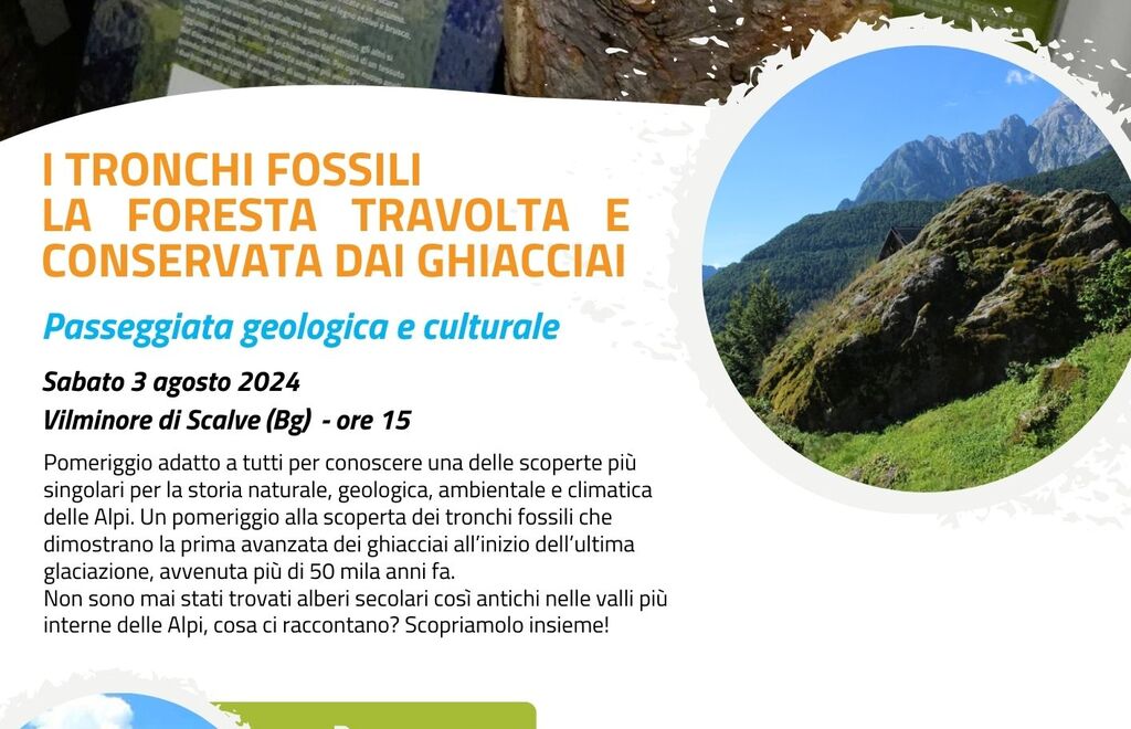 Tronchi fossili