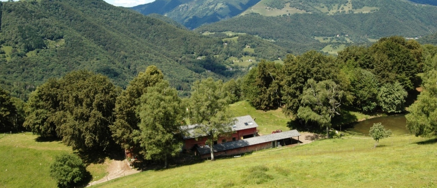 Alpe Comana