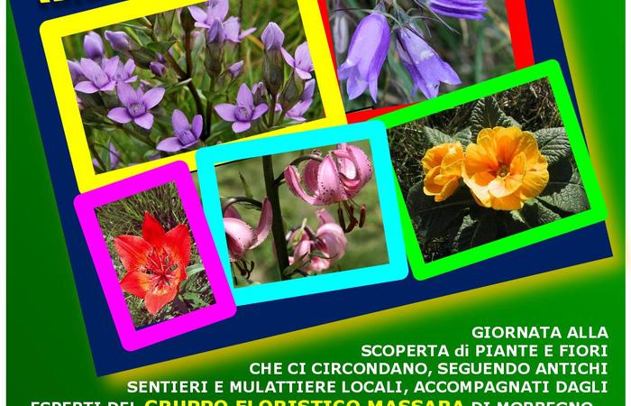 Allegato #1
