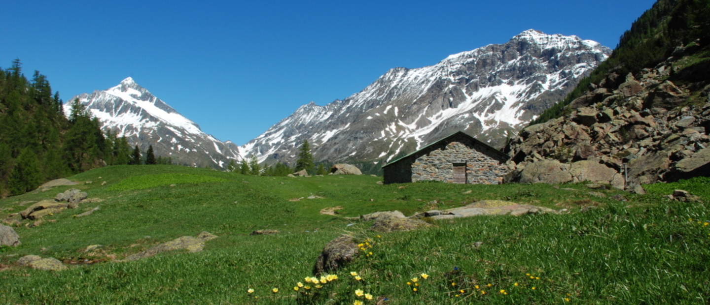 Il panorama dal Rifugio Ventina