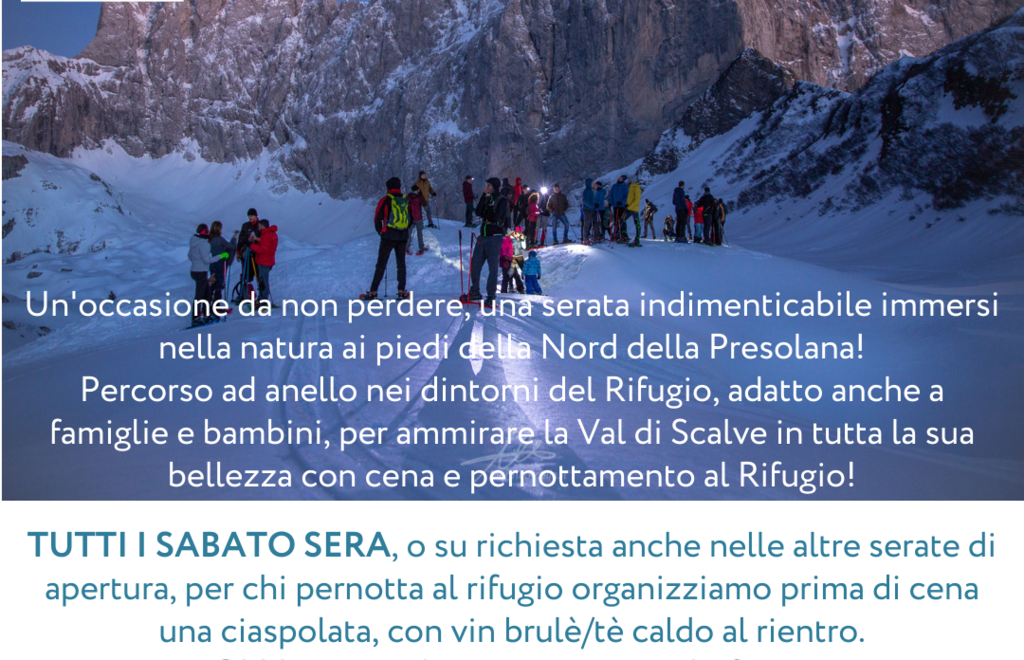 Allegato #5