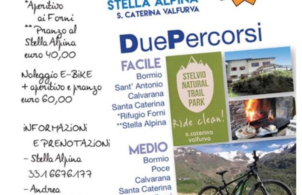 Allegato #1