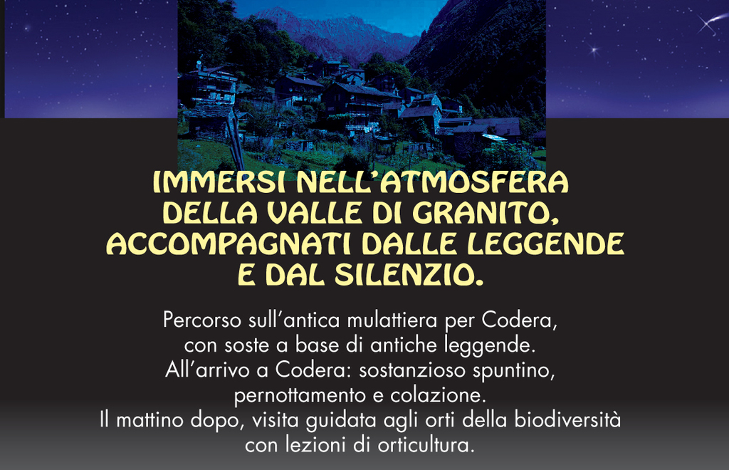 Allegato #2