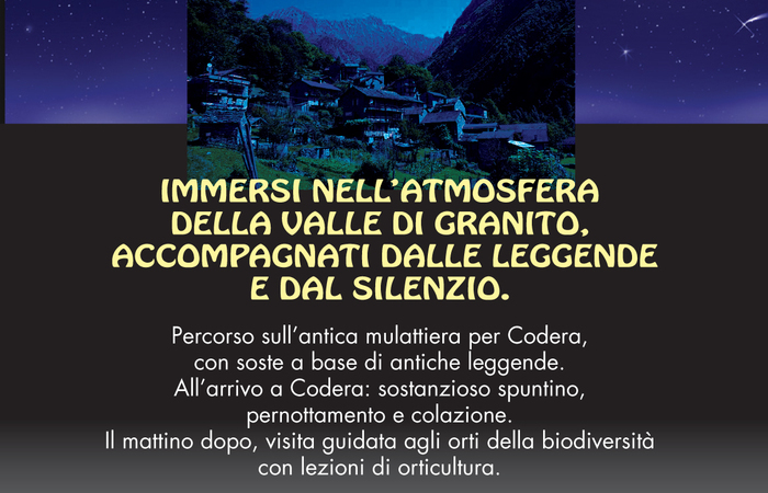 Allegato #2
