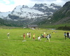 bambini al rifugio Federico in Dosde