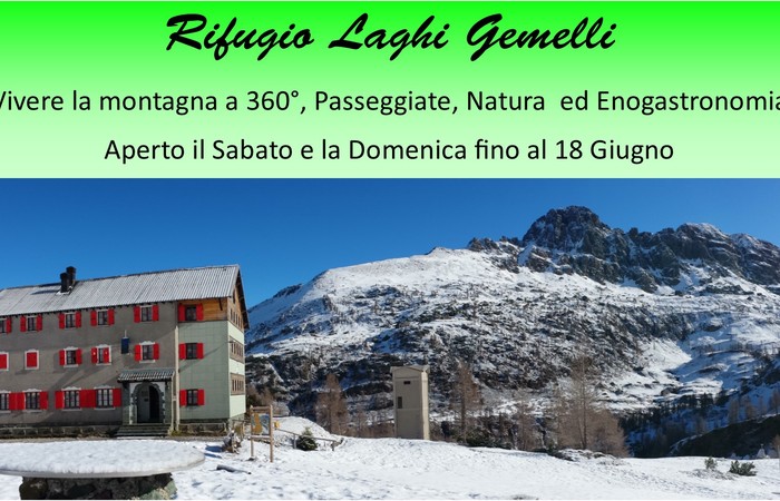 Allegato #5