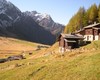colori autunnali