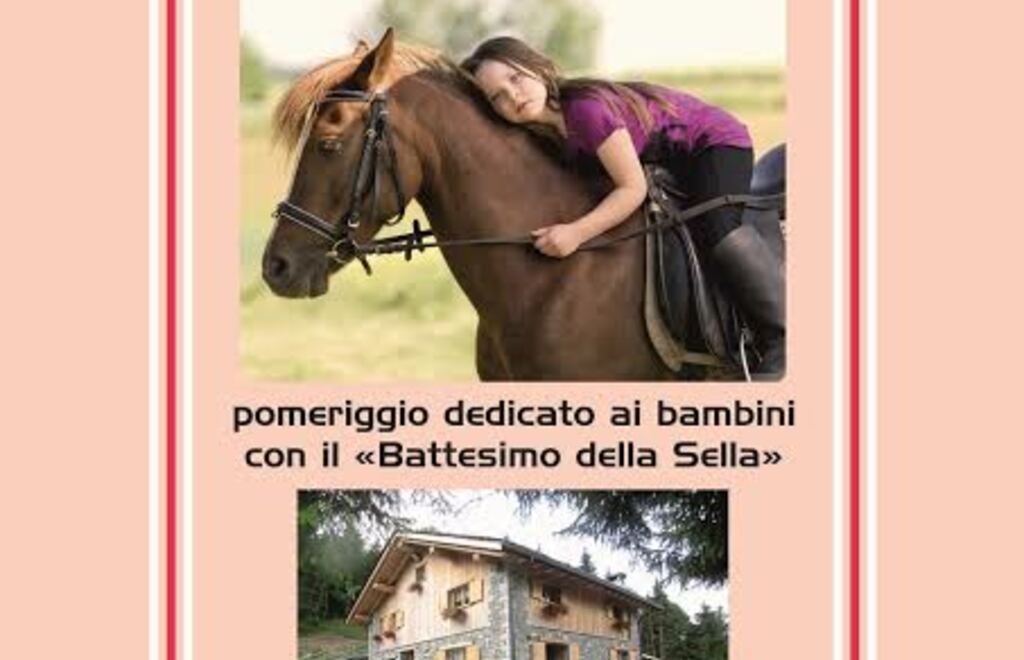 Allegato #1