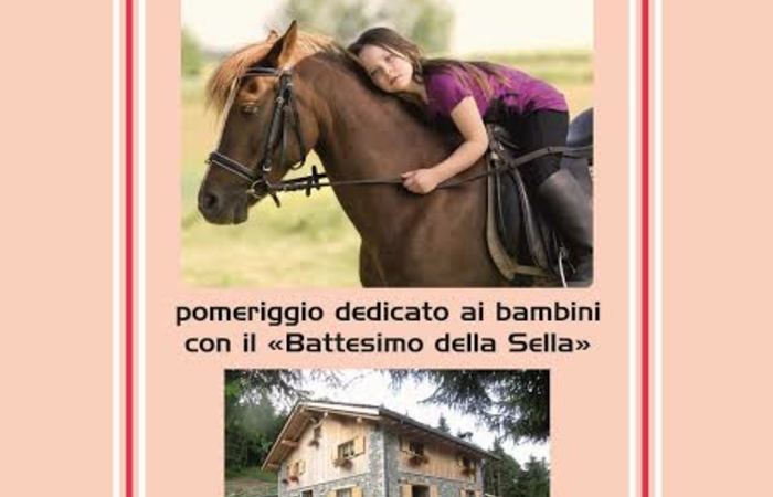 Allegato #1