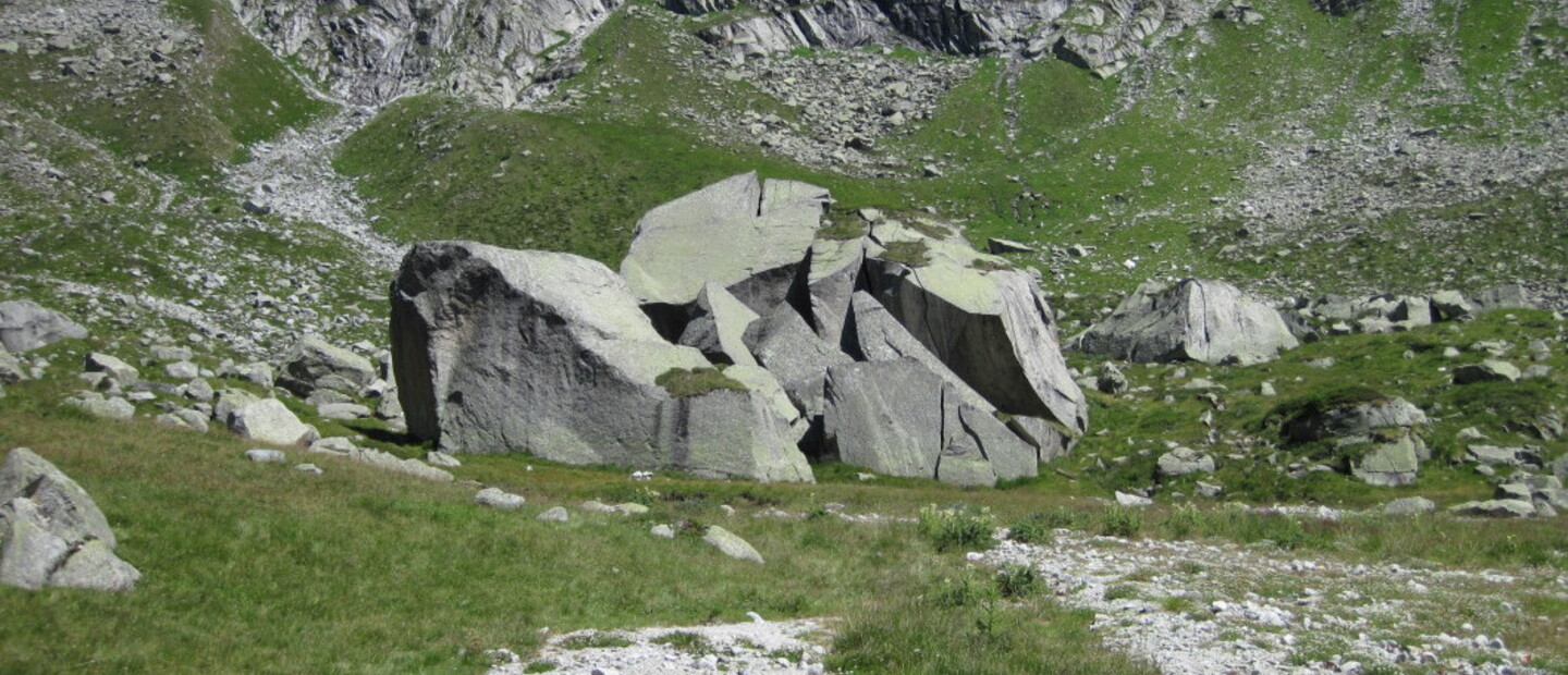 cimitero degli elefanti