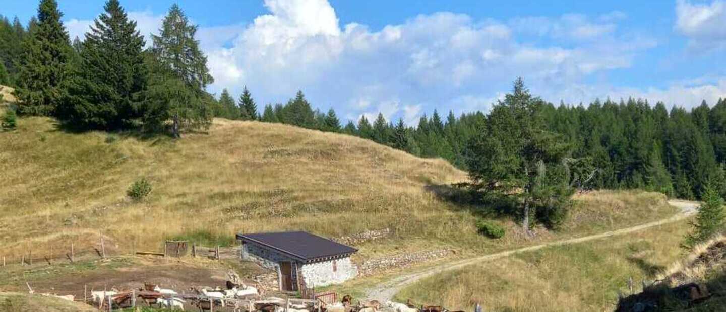 Alpe Strencia