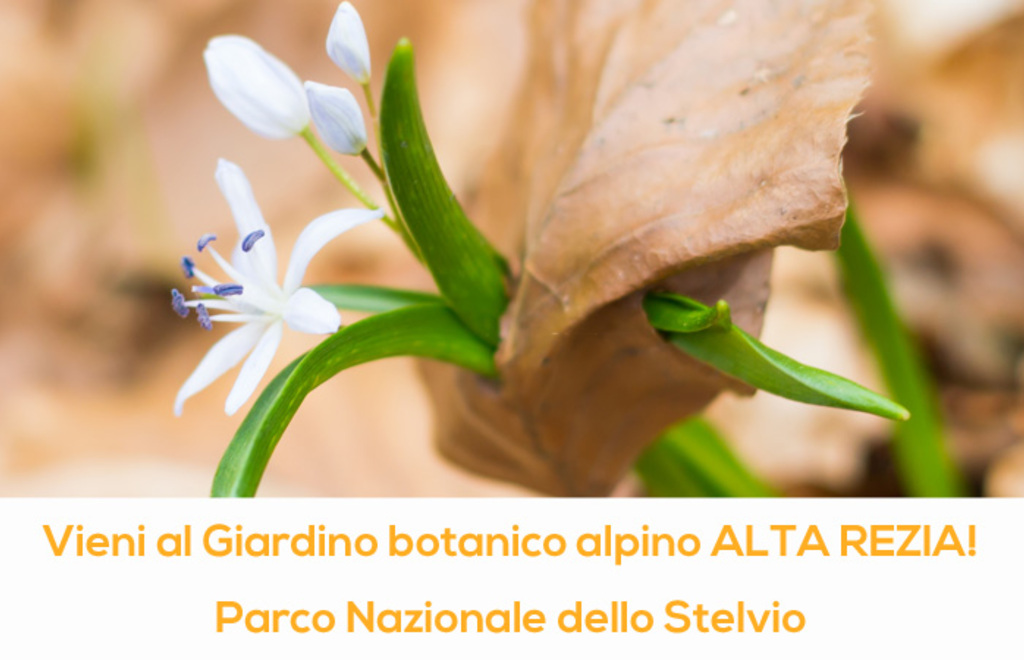 giardini_botanico