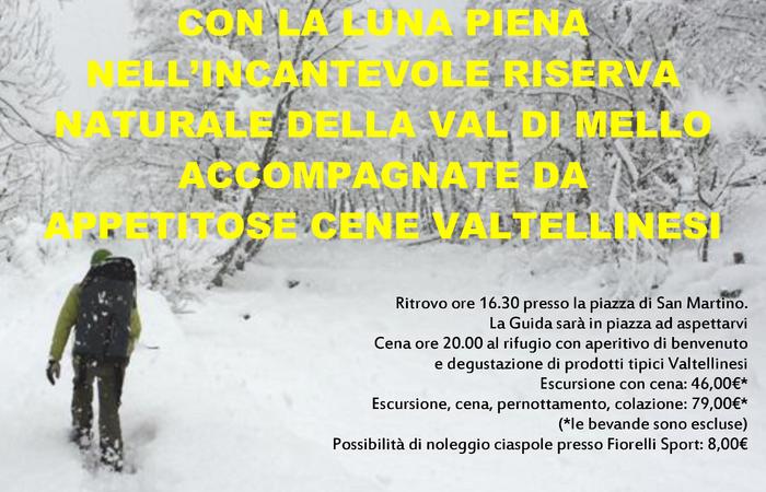 Allegato #5