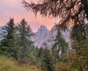 Cimon della Bagozza tra i larici