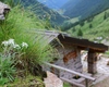 Le magiche fioriture intorno al rifugio