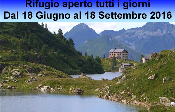 Allegato #5