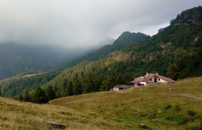 Allegato #3