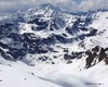 Nuovi ospiti in arrivo....