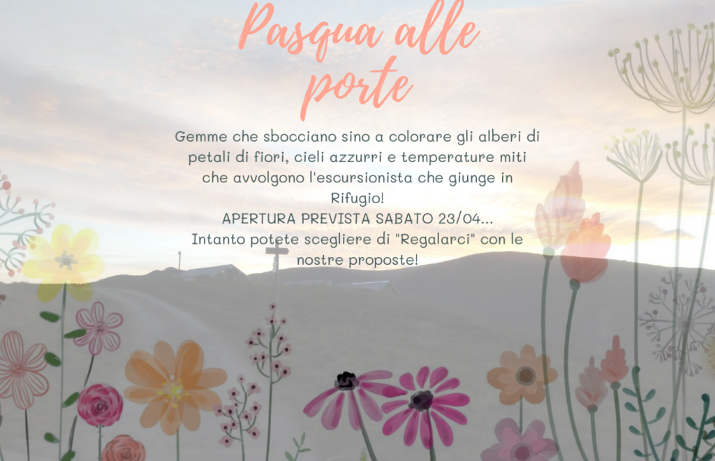 Allegato #1
