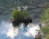 nuvole riflesse in lago rotondo