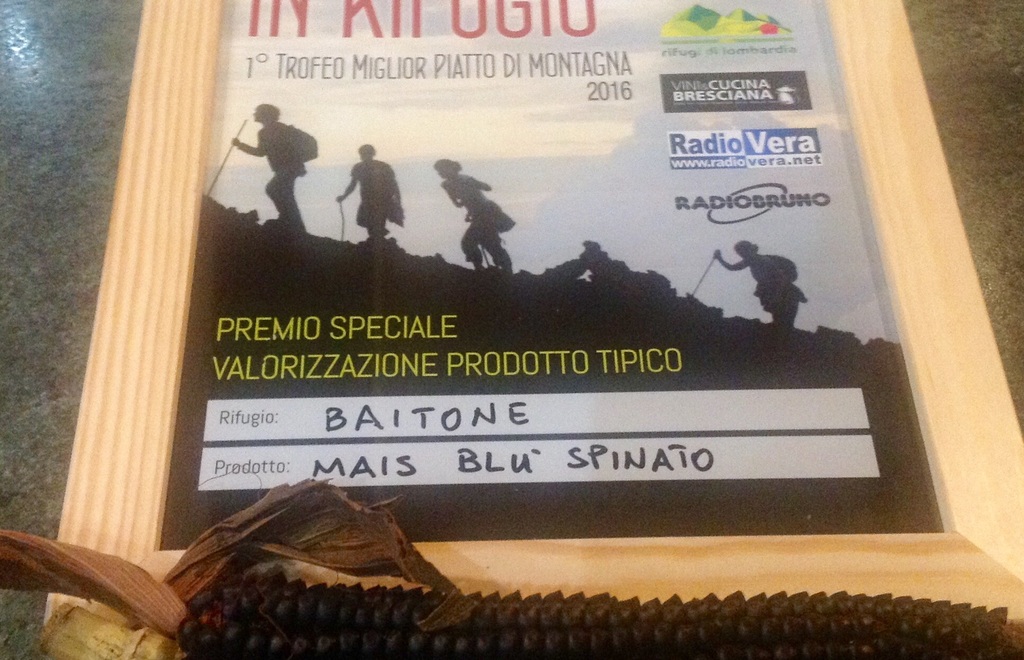 Allegato #1