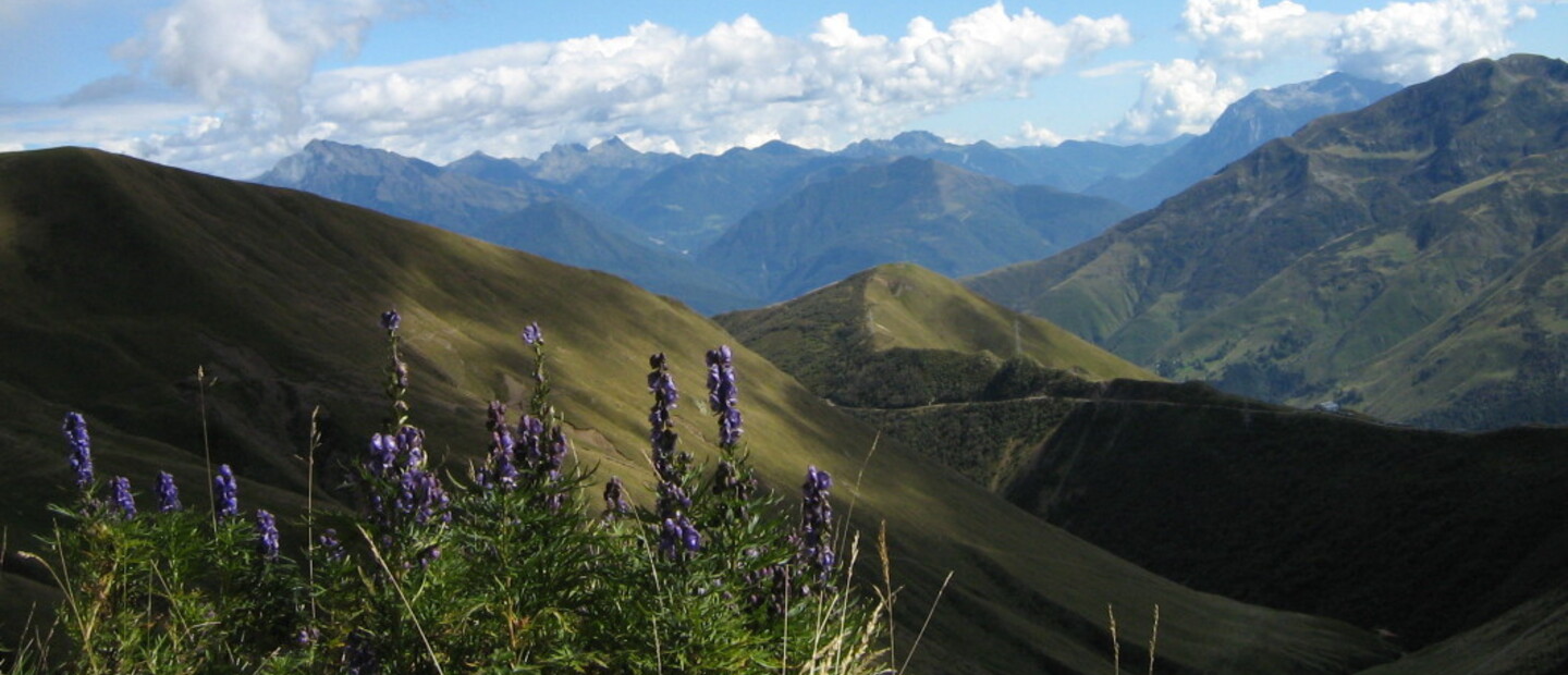 Panorama dal Rifugio