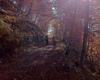 salendo in autunno per la strada militare