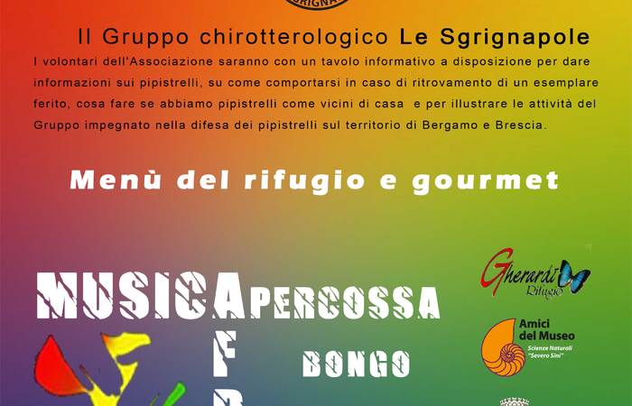 Allegato #1