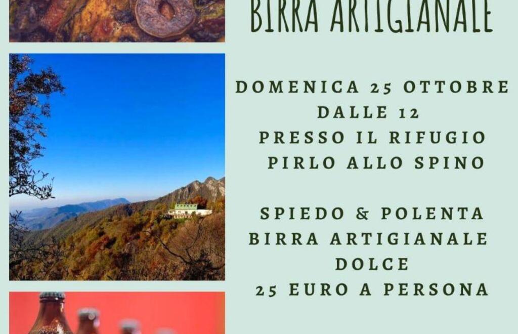 Allegato #1