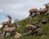 Parco Nazionale dello Stelvio