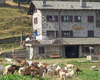Alpe Strencia