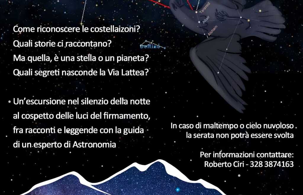 Allegato #1