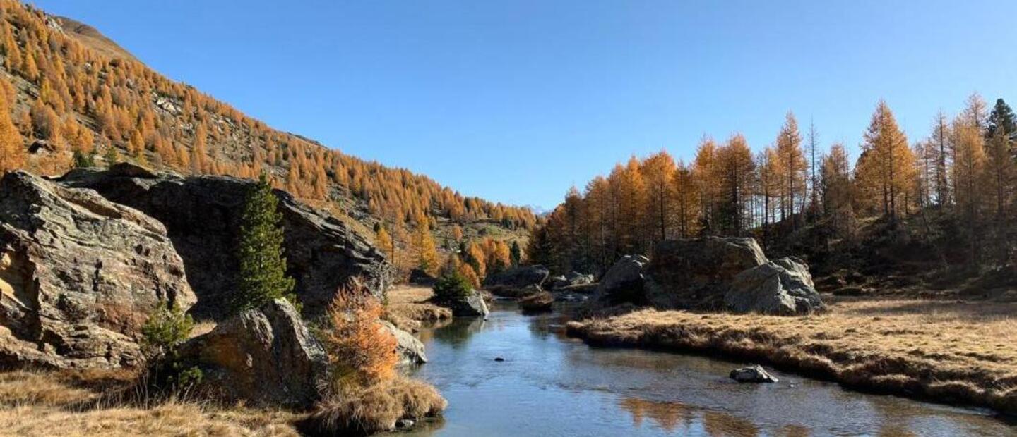 Torrente Torreggio