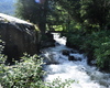 Particolare del torrente Re che scorre a fianco del rifugio. Le sue acque fresche e cristalline rompono il silenzio della montagna con il loro suono, rilassano e rinfrescano. 