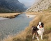 autunno in Adamè i colori della valle a settembre