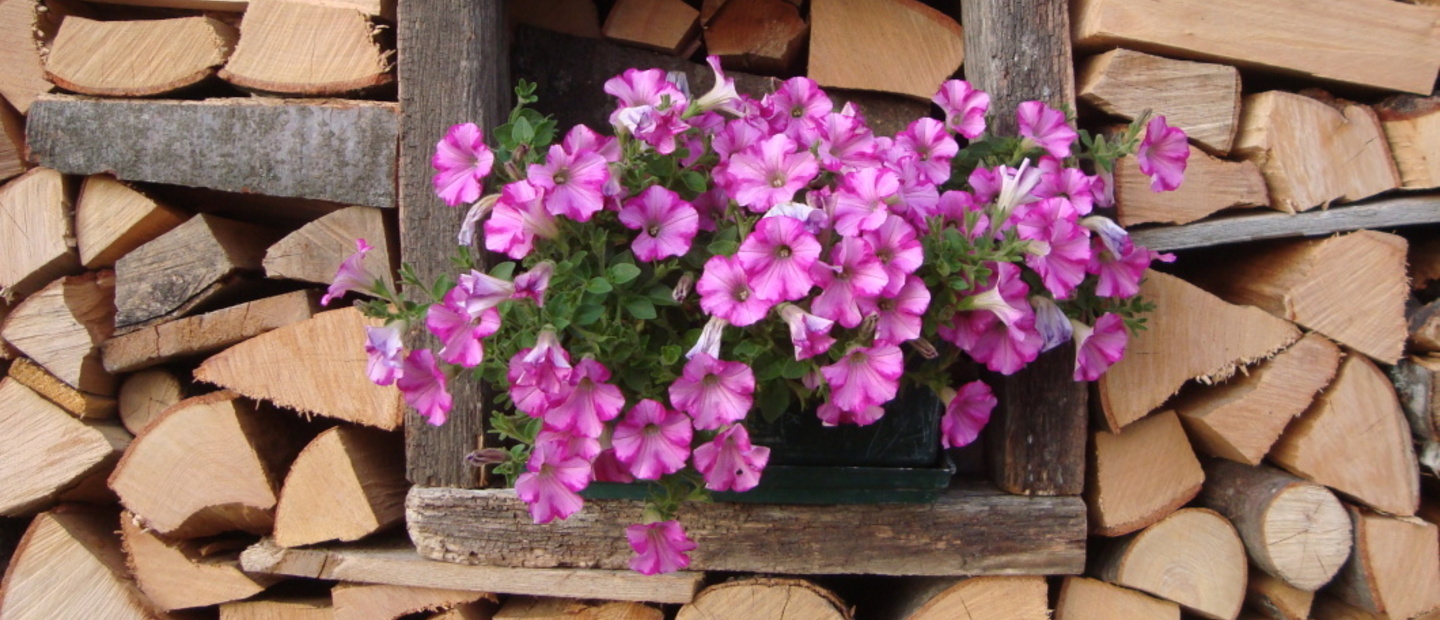 I colori del Rifugio Buzzoni