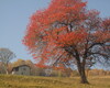 autunno nei dintorni del rifugio