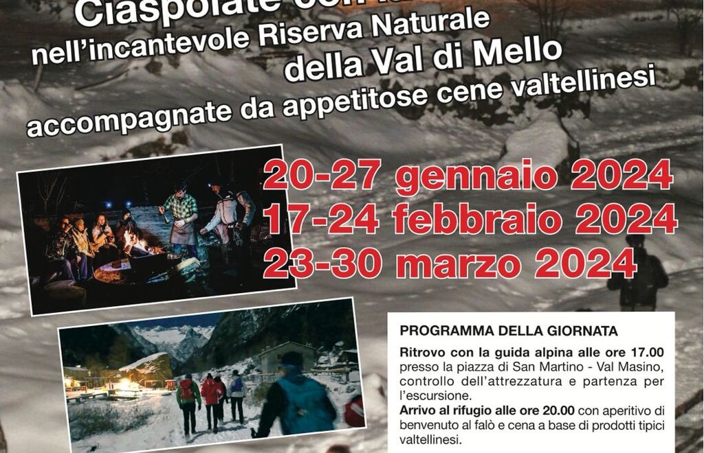 Allegato #4