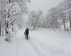 Passeggiata invernale lungo il sentiero che porta al rifugio
