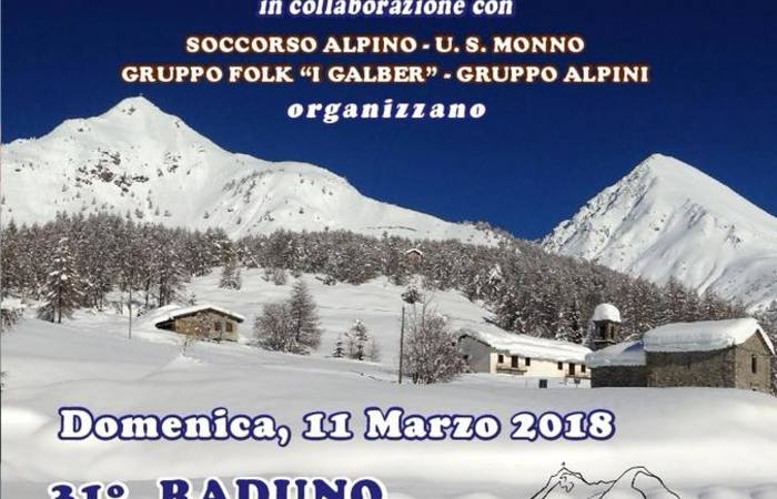 Allegato #1