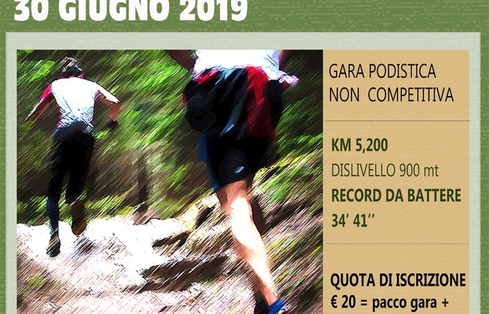 Allegato #3