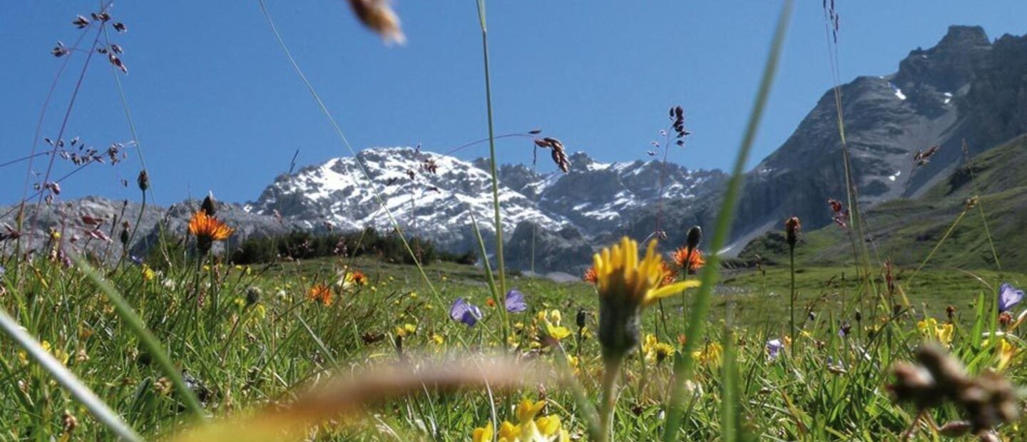 Val zebru rifugio quinto alpini