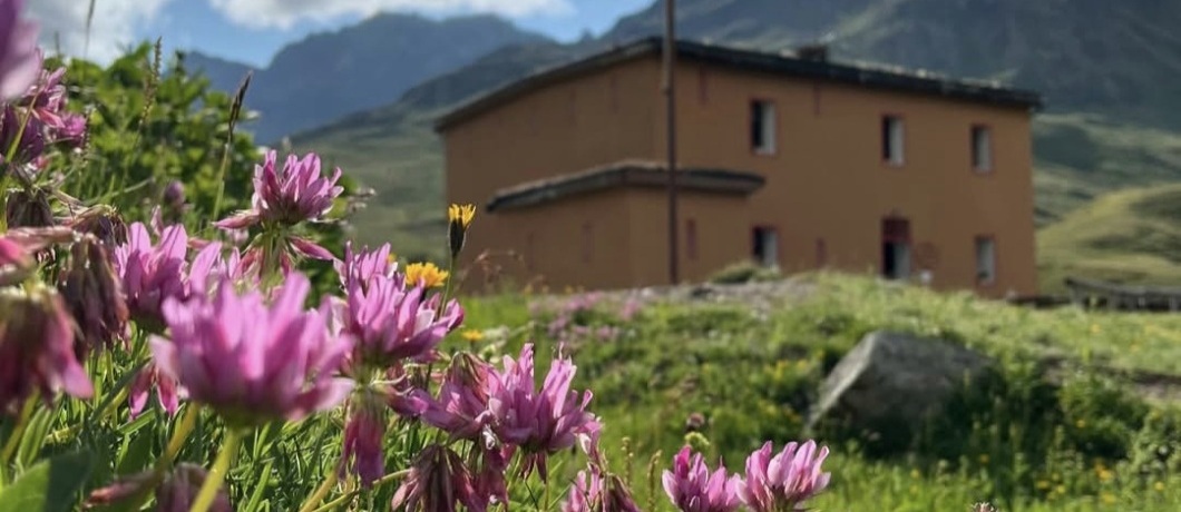 Rifugio Viola
